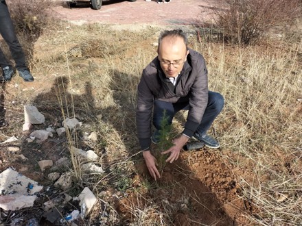 Her Çalışan Bir Fidan